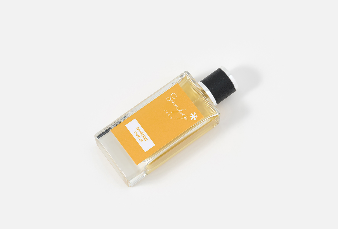 Serendipity Eau de Parfum Cohésion 100 ml Serendipity Eau de Parfum Cohésion