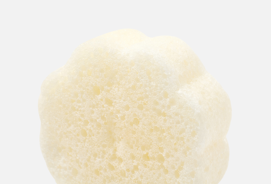 Spongelle Body Wash Infused Sponge Daisy Collection Grapefruit Cassis Spongette