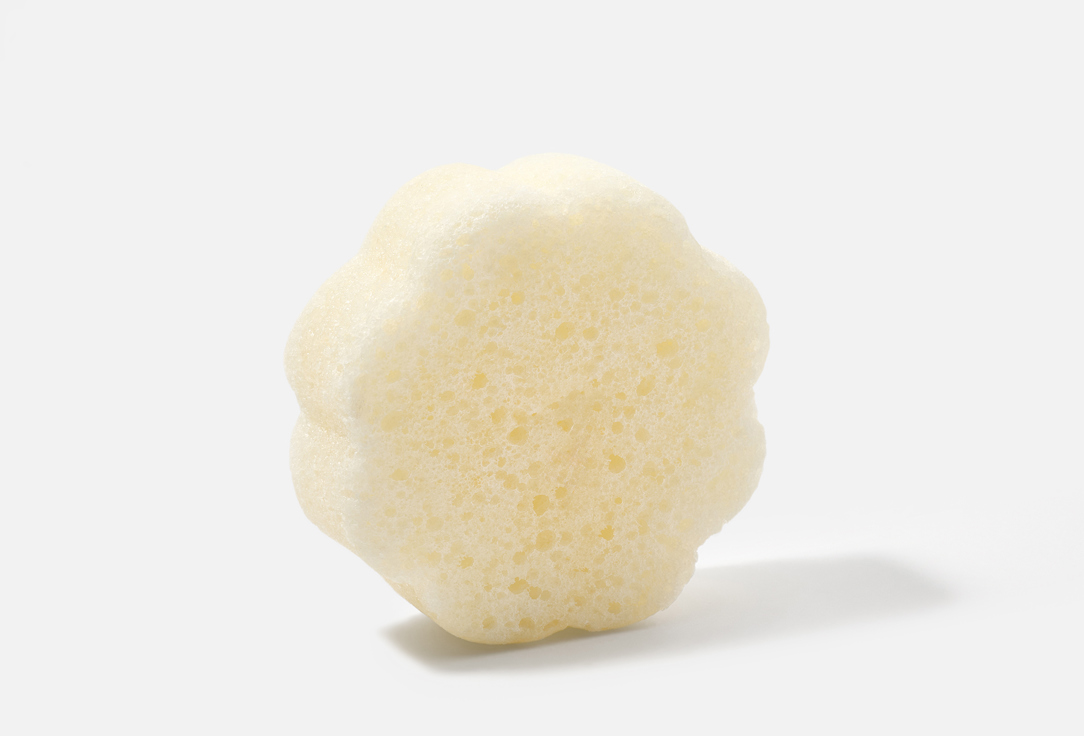 Spongelle Body Wash Infused Sponge Daisy Collection Grapefruit Cassis Spongette