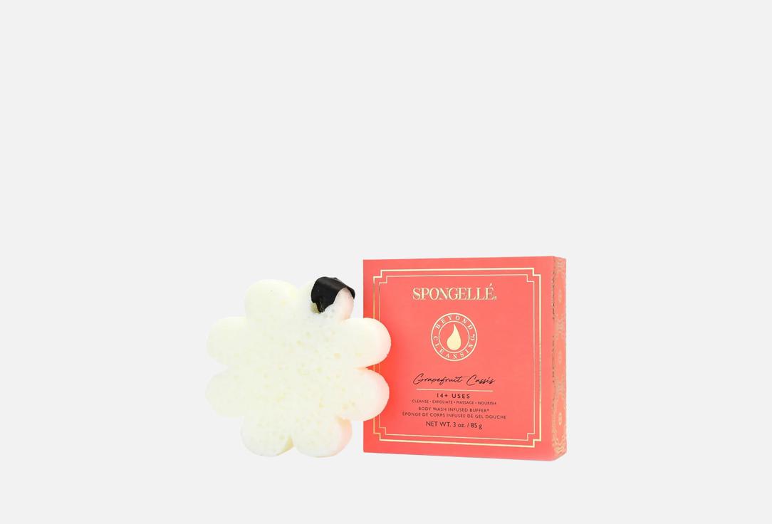 Spongelle Body Wash Infused Buffer Daisy Collection Grapefruit Cassis Buffer