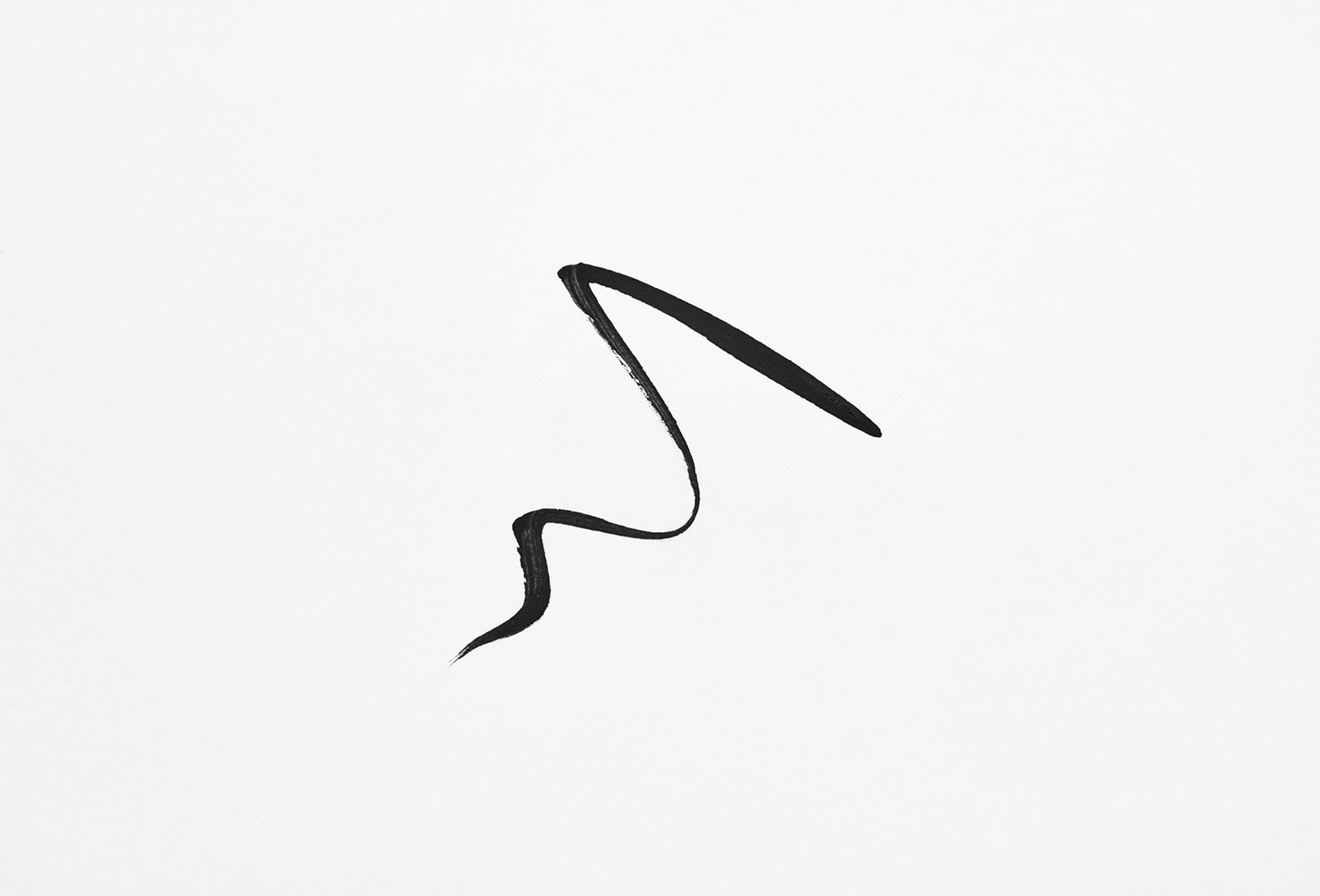 Provoc Liquid Eyeliner Liquid Eyeliner Brush