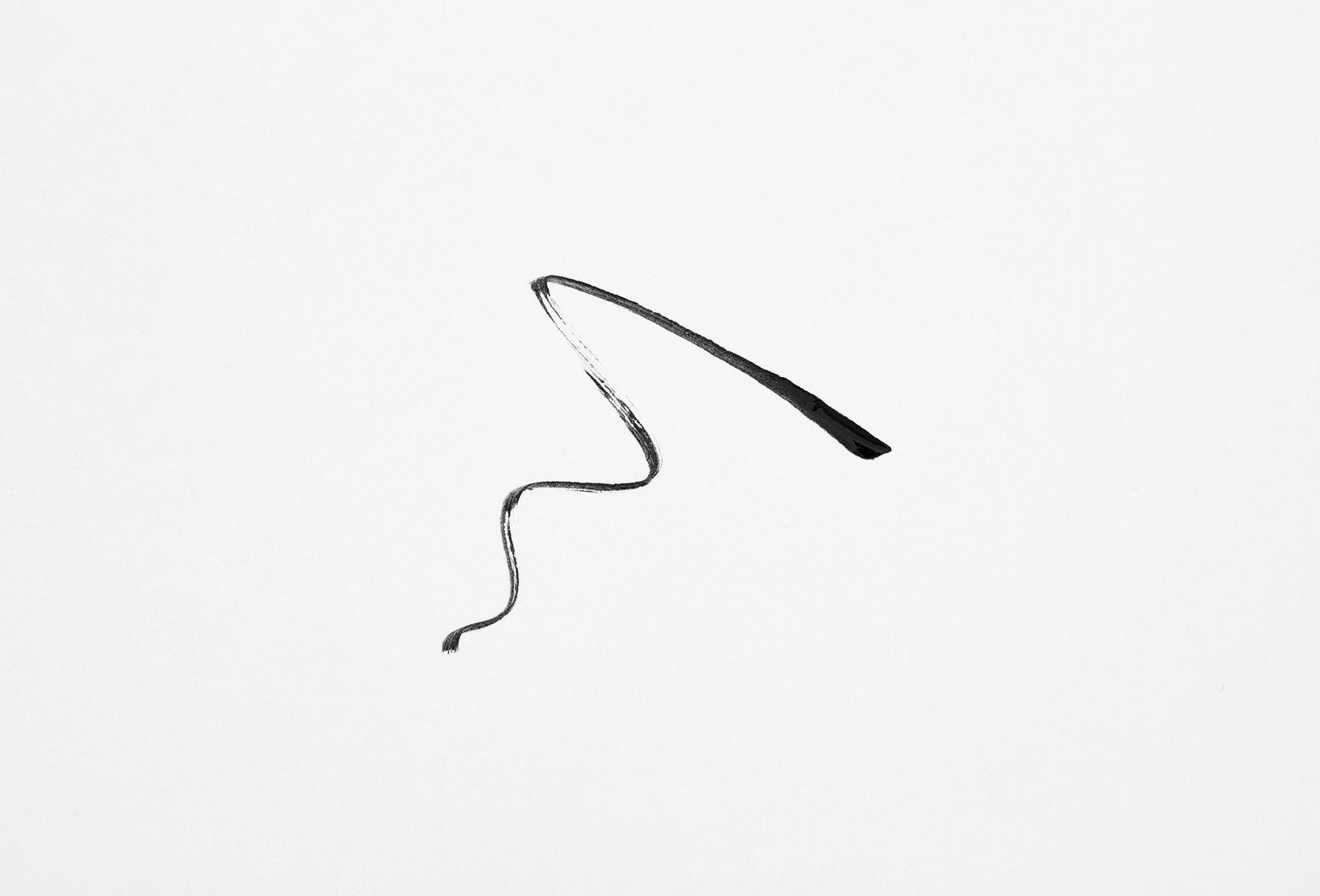 Provoc Long-Lasting Liquid Eyeliner Micro Tip Dip