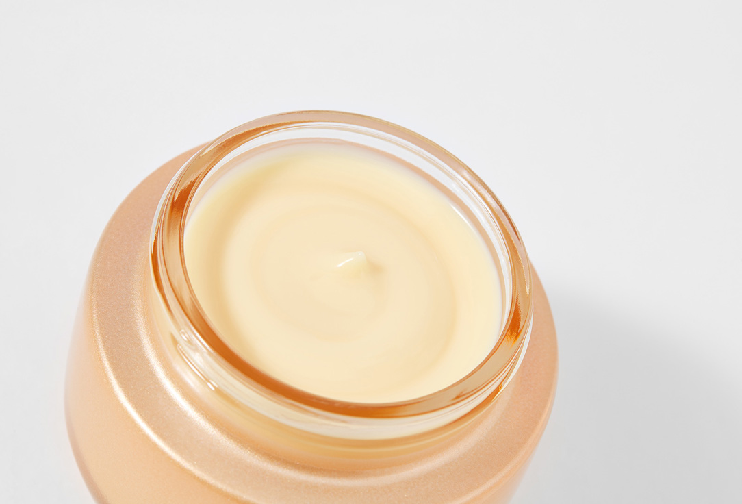 Shiseido Wrinkle Resisting Face Cream Benefiance Overnight