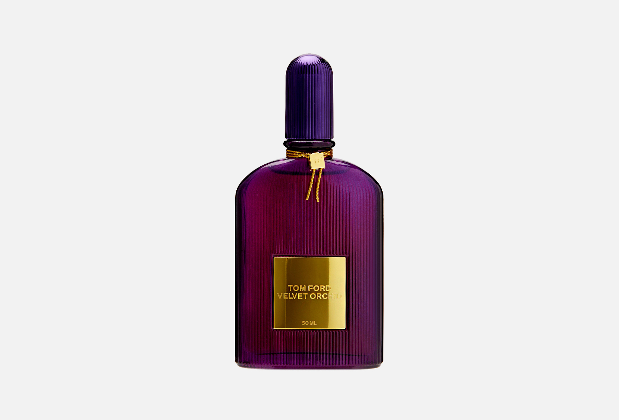 Velvet orchid 50