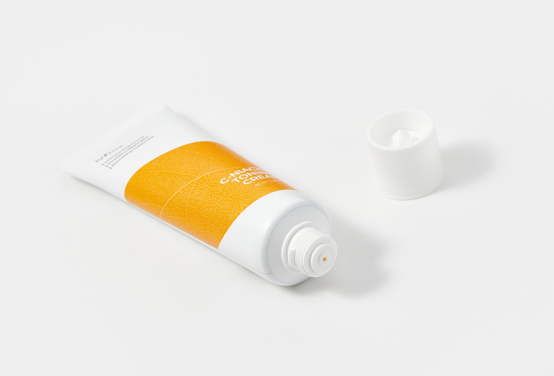 IsNtree FACE TONING CREAM C-NIACIN 50 ml IsNtree FACE TONING CREAM C-NIACIN
