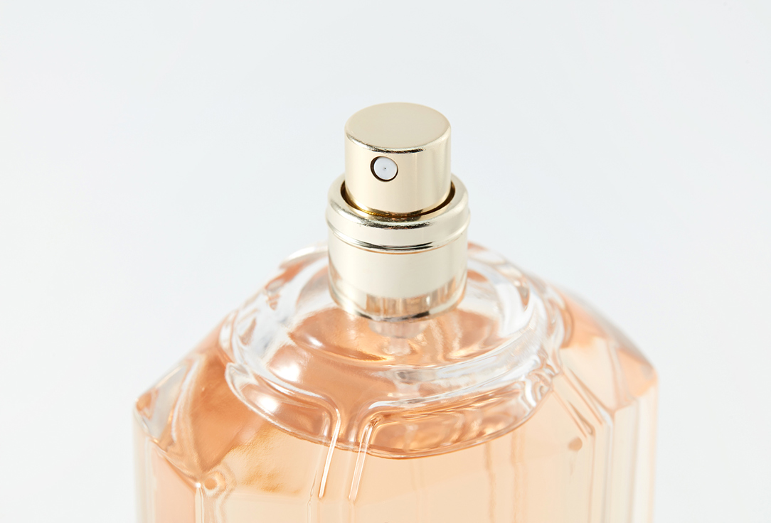 Hugo Boss Eau de parfum Boss the scent 100 ml Hugo Boss Eau de parfum Boss the scent