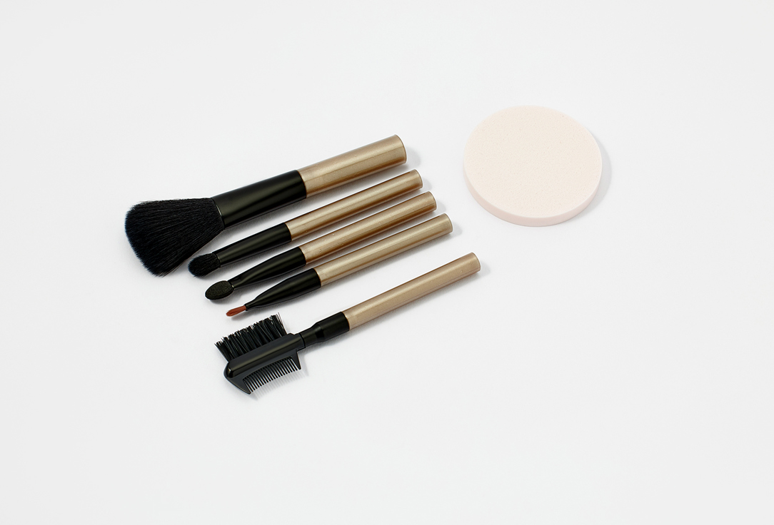 QVS Makeup Tool Set ESSENTIAL COSMETIC TOOL KIT 6 pcs QVS Makeup Tool Set ESSENTIAL COSMETIC TOOL KIT