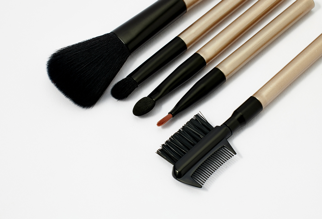 QVS Makeup Tool Set ESSENTIAL COSMETIC TOOL KIT 6 pcs QVS Makeup Tool Set ESSENTIAL COSMETIC TOOL KIT