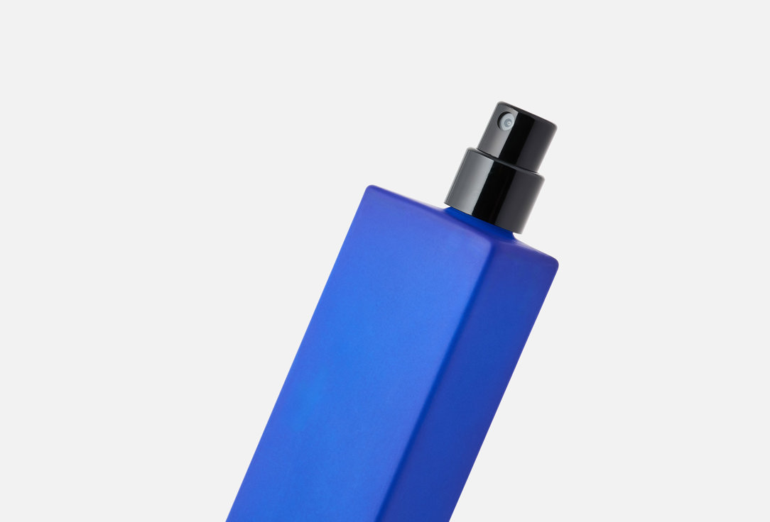Histoires de Parfums Eau de Parfum This is Not a Blue Bottle 1.1