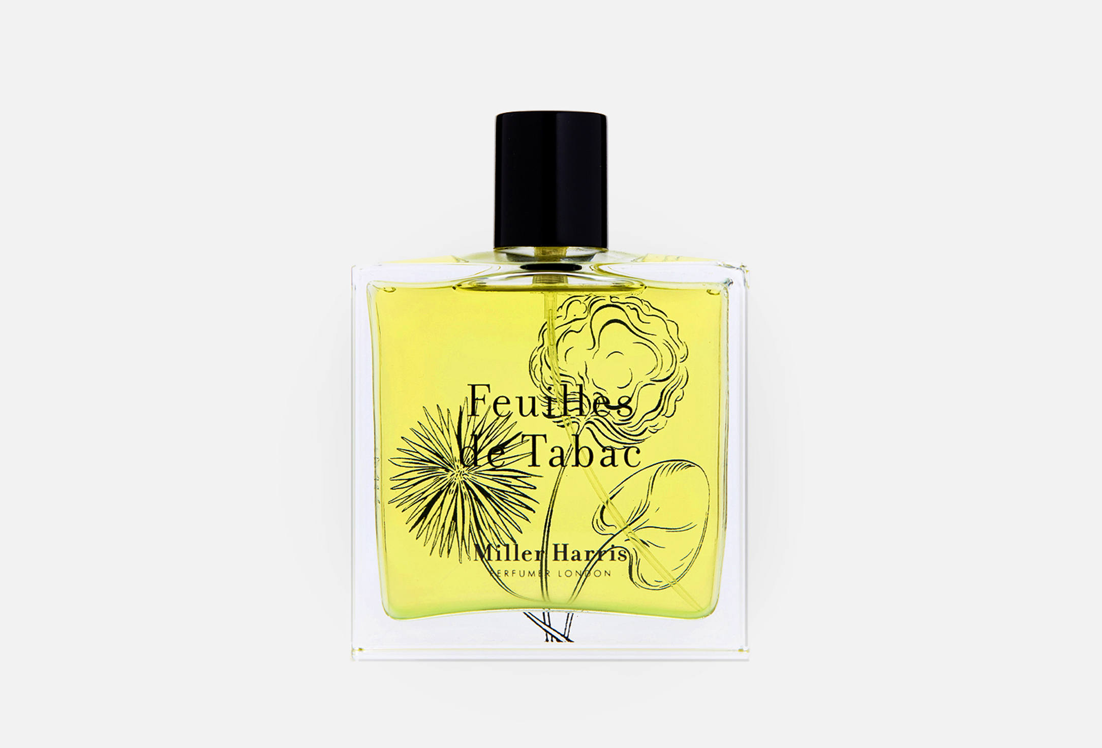 Feuilles de tabac 100