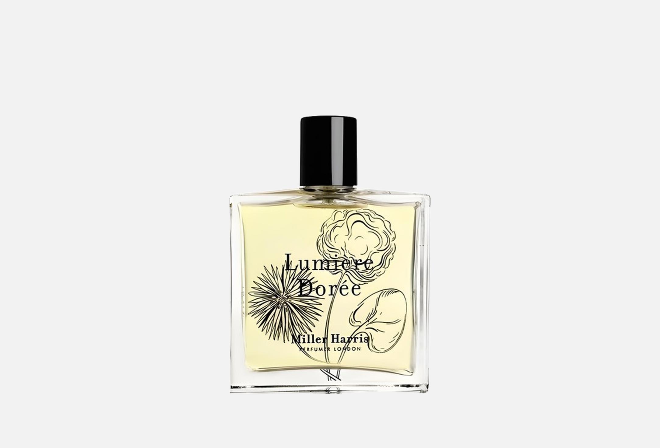 Lumiere dorée  50 