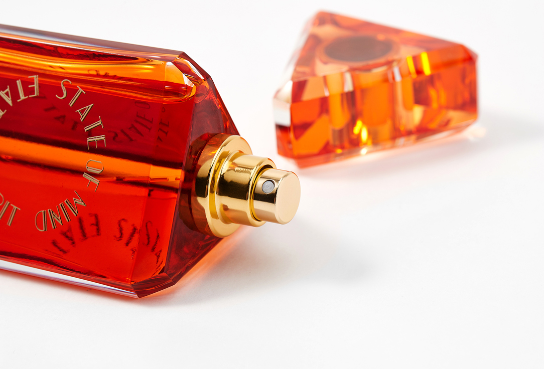 ستيت أوف مايند ماء عطر إيستيتيك تيربيولنس