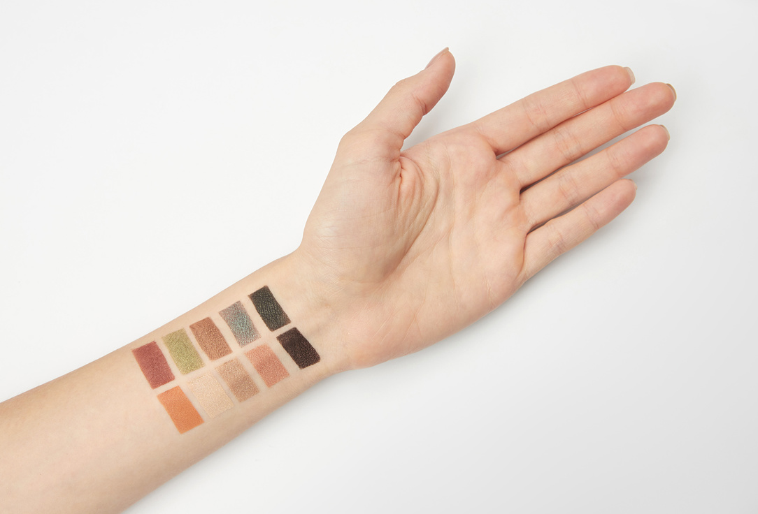 Wet n Wild Eyeshadow Palette Color Icon 10 Pan Palette